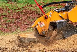 Tree and Shrub Care in Payette, ID